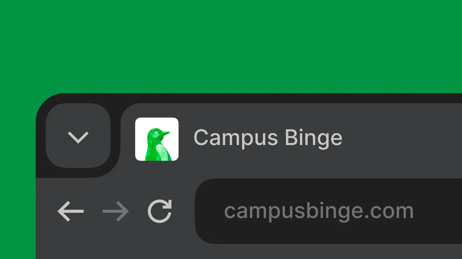 A browser tab showing Campus Binge at campusbinge.com